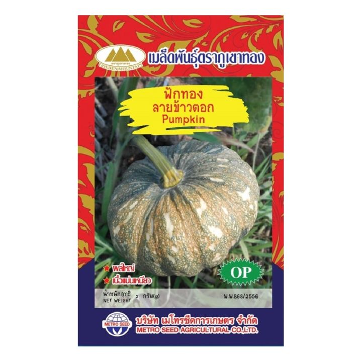เมล็ดฟักทองลายข้าวตอก Pumpkin MT/OP-099 ตราภูเขาทอง เนื้อแน่น ผลดก