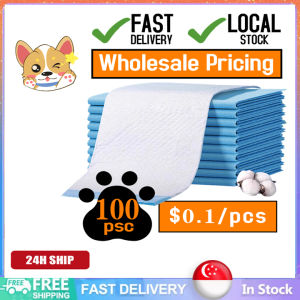 【Local Stock】Absorbent Pee Pad/Pee Pad Dogs Cats/Super Absorbent Training Pads DisposableCat Pet Diapers Supply Accessories/Pet Care/Absorbent Pee Pad/Pet Training Pads