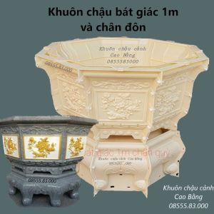 Khuôn đúc chậu bát giác 1m và chân đôn - hoa văn cây tùng và hoa mẫu đơn (khuôn ABS có lòng trong đầy đủ)