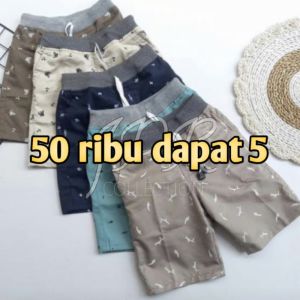 PAKET 5 PCS MURAH CELANA PENDEK ANAK MOTIF BEDA WARNA USIA 1-13 TAHUN
