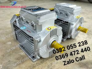 Mô tơ dây đồng 3kw điện 1 pha vòng quay 2900v/p