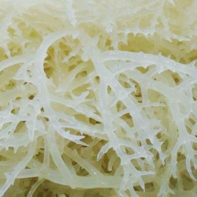 [Ho Chi Minh City] 1kg of meniscus pot fat, delicious and crunchy 250g