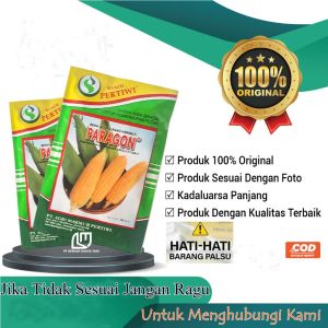 BENIH BIBIT JAGUNG MANIS PARAGON F1 ORI PERTIWI ISI 200 BIJI