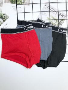 Quần sịp đùi nam boxerlót nam cotton đùi viền họa tiết cao cấp mềm mịnco giãn 4 chiềuthoáng khíkháng khuẩn PM03A