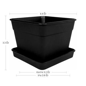 กระถางแคคตัส กระถางสี่เหลี่ยม พร้อมจานรอง 4 4.4 นิ้ว สีดำ Bundle 12 ใบ ชิ้น อัน