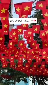 [2/9] Cờ dây Sao Tổ Quốc Sao Đảng In 2 Mặt Vải Satanh Chịu Nắng Mưa cuộn 10M /20 lá Phi Bóng trang trí đường phố