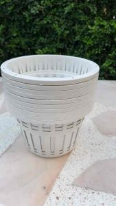 กระถางกล้วยไม้สีขาว 8 นิ้ว แพ็คละ 10 ใบ สินค้าพร้อมส่งจ้า