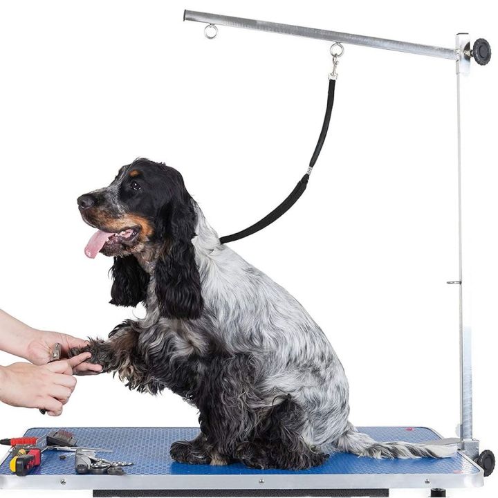 Grooming best sale table leash