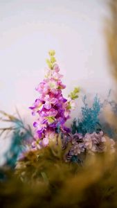 Jilbab Hijab Kerudung Bergo Krudung Wanita Dewasa Terbaru 2021