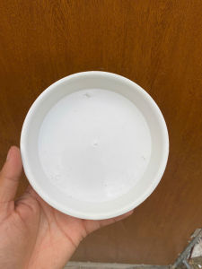 Đĩa lót chậu bằng nhựa các size đĩa đựng nước dưới đáy chậu cây cảnh trong nhà và ngoài trời khay hứng nước