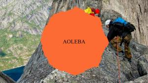 AOLEBA Skin Friendly 8mm Soft Silk Rope Rope for Knot Tying Practice Beginners Multiple Strands Braided Polypropylene Rope Set of Two 32 Ft Ropes with Storage Dust Bag (Black and Orange)