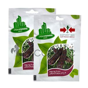 Benih Jagung Pulut JANTAN F1 Isi 30 Butir Cap Panah Merah