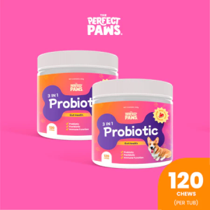 The Perfect Paws 3-in-1 Probiotic for Dogs – 120 Chews | Supports Digestion Gut Health Immunity