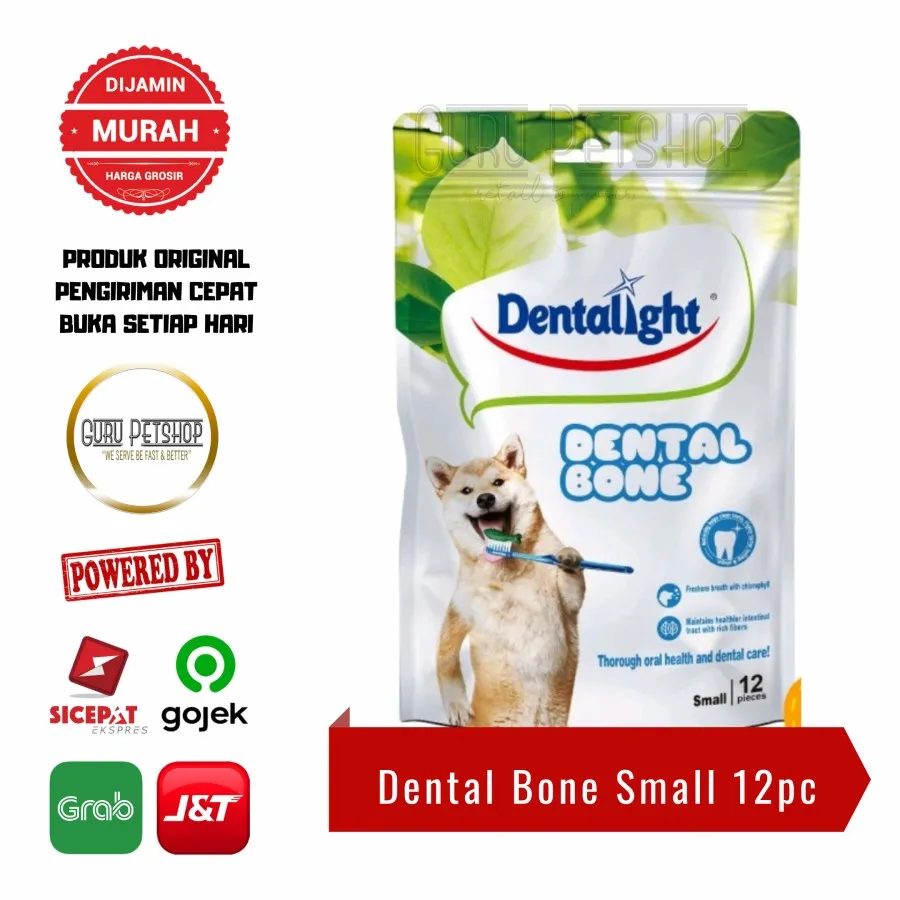 Dentalight 2024 dental bone