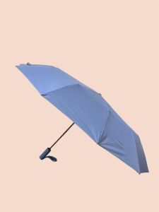 Elegant Compact Automatic Umbrella