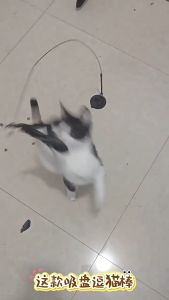 Cat Feather Teaser Stick with Suction Cup Self Play Toy