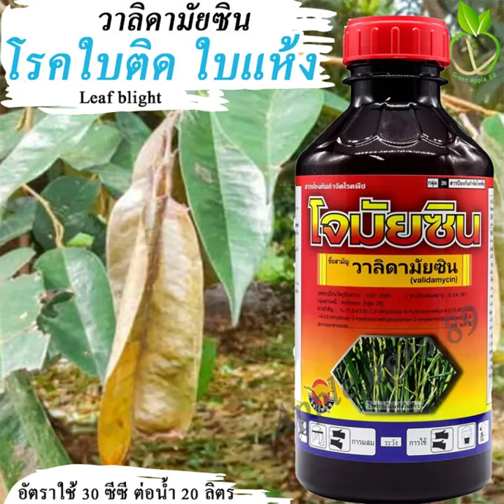 โจมัยซิน วาลิดามัยซิน 1 ลิตร ป้องกันโรคกาบใบแห้ง