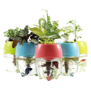 [TAIWAN IMPORT] Aquaponic Betta Fish Aquarium Hydroponics 鱼舞草行 办公室疗癒迷你鱼缸 斗鱼打架鱼 Pot Plant Water Garden Planter Top Lid Natural Ecosystem for Plant Growth Jar Tiny Fish (RANDOM COLOR PICK) - Penghias Rumah Pejabat untuk Ikan Hias Tumbuhan
