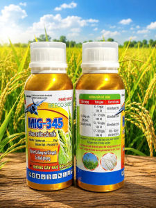 Thuốc trừ cỏ hậu nảy mầm MIG 345 Beeco 345 240ml: đặc trị cỏ lồng vực cỏ gạo cỏ đuôi phụng KHÔNG ĐỎ LÚA