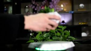 New Magnetic Levitating Floating Bonsai Planter Auto Rotating Levitation Flower Pot Creative Desk Ornament & Unique Gift for Potted Air Plants