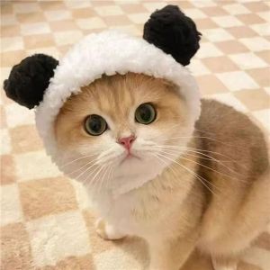 Cat Hat Pet Headgear Knitting Frog Flower Dog Hat Headdress Funny Cute Cat Festival Dress Up Hat