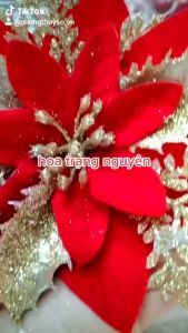 Hoa kép hoa trạng nguyên trang trí tháp oản bánh kẹo ngày lễ tết