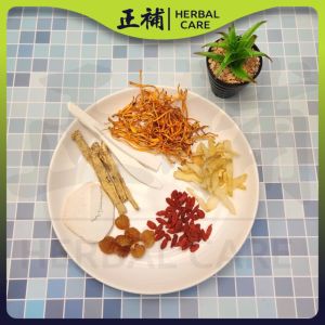 Herbal Care Golden Essence Nourishing Soup | 金元养生汤