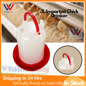IMPORTED 6L Chick Drinker Chicken water drinker chick feeder and drinker chiken water drinker chicken drinker automatic