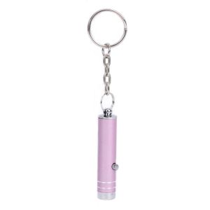 RGFV Portable Multi-function Counterfeit Money Money Check Money Detection Detector LED UV Torch Keychain Lamp UV Light Flashlight