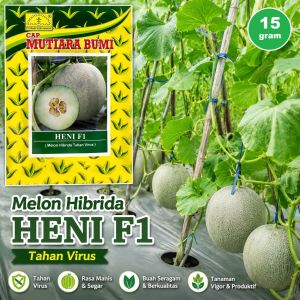 Benih Melon Hibrida Tahan Virus HENI F1 Daging Putih Kehijauan Cap Mutiara Bumi Isi 15 Gram