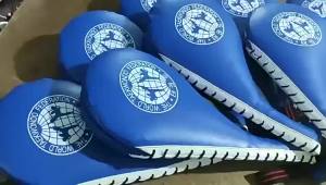 Taekwondo Foot Target Training Chicken Leg Target Sound Target Childrens Flat Target Boxing Sanda Gear Kick Target Double Leaf Target #