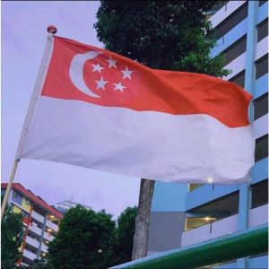 2PC SingaporeSingapore national flag National Day Decoration 137*91cm Hanging Office/Activity/Festival/National Flag Decoration