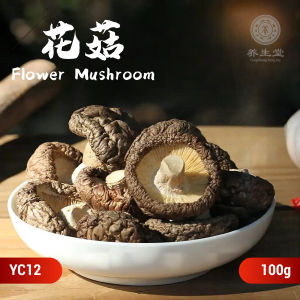 Chinese Herbs Herbal Medicine 花菇 Flower Mushroom Dried Shiitake Mushroom Fitness 中药材 干货 香菇 强身健体 YC12