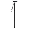 The Cane Collective Sleek Black Walking Canes. 