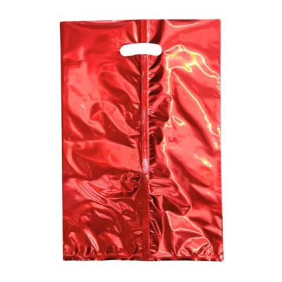 CGS 19x28cm Shiny Metallic Loot Bag (Red) 10pcs