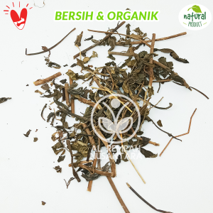Daun Kumis Kucing Kering 1 kg Organik Asli Hutan
