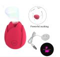 Rose Vibrator (10 modes, sucking, waterproof, pocket sized). 