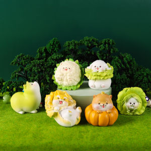 World of Dog Blind box Toys Figure model Resin Crafts - Perhiasan mainan kotak buta Anging Kebun Baby Story 菜狗世界盲盒系列