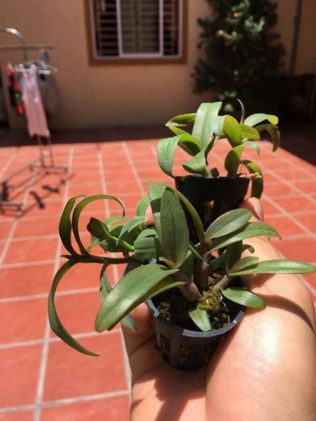 Phi%20%C4%91i%E1%BB%87p%20t%C3%ADm%20H%C3%92A%20B%C3%8CNH%20-%20Image%205