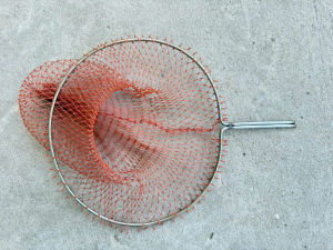 Vợt vớt các loại cá chất liệu INOX ĐK 19CM Chiều dài 28CM ( Lưới Cước ) Đỏ Nhỏ.
