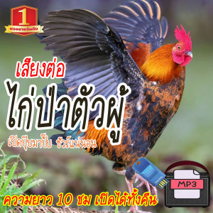 TJ Shop เสียงต่อไก่ป่าตัวผู้ แฟลชไดร์ฟ USB ต่อไก่ป่าตัวผู้ เสียงดังฟังชัด เสียงนกแท้ เสียงดังฟังชัด100% RF782