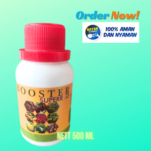 Pupuk Pelebat Buah pepaya Pupuk pepaya california Terlaris Booster Pepaya Berbuah lebat Tidak Rontok