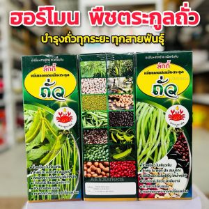 ถั่ว ฮอร์โมนถั่ว (อะมิโน + สาหร่าย เข้มข้น ) บำรุงถั่วทุกระยะ บำรุงถั่วสายพันธุ์ บำรุงพืช อะมิโนพืช อะมิโนถั่ว 1 ลิตร