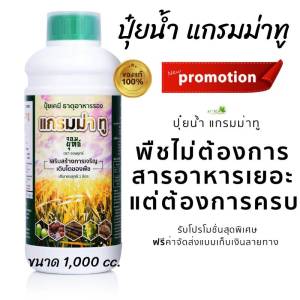 แกรมม่าทู Gramma2 ขนาด 1 ลิตร ปุ๋ยน้ำ ตราจอมยุทธ์ เสริมสร้างการเจริญเติบโตของพืช ธาตุอาหารรอง