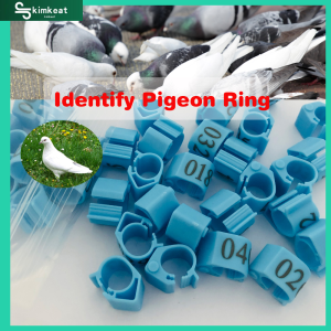 10Pcs 20Pcs Pigeon oval ring Blue Pigeon foot ring Adjustable Dove clip ring Pigeon accessories