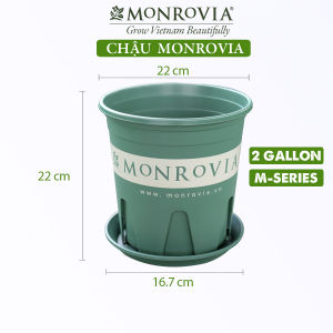 Đĩa lót chậu MONROVIA Dòng O-Series và M-series chậu nhựa trồng cây chậu cây cảnh mini để bàn treo ban công treo tường cao cấp chính hãng thương hiệu MONROVIA