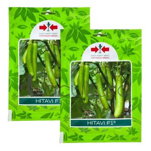 Benih Terong Hijau HITAVI F1 Isi 400 Butir Cap Panah Merah