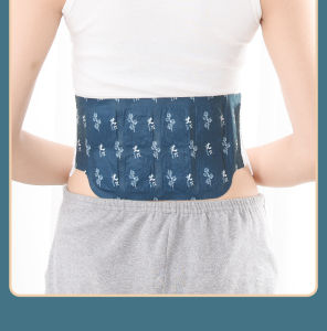 Hot Patch Waist Warming and Abundance Moxibustion Hot Compress Waist Patches