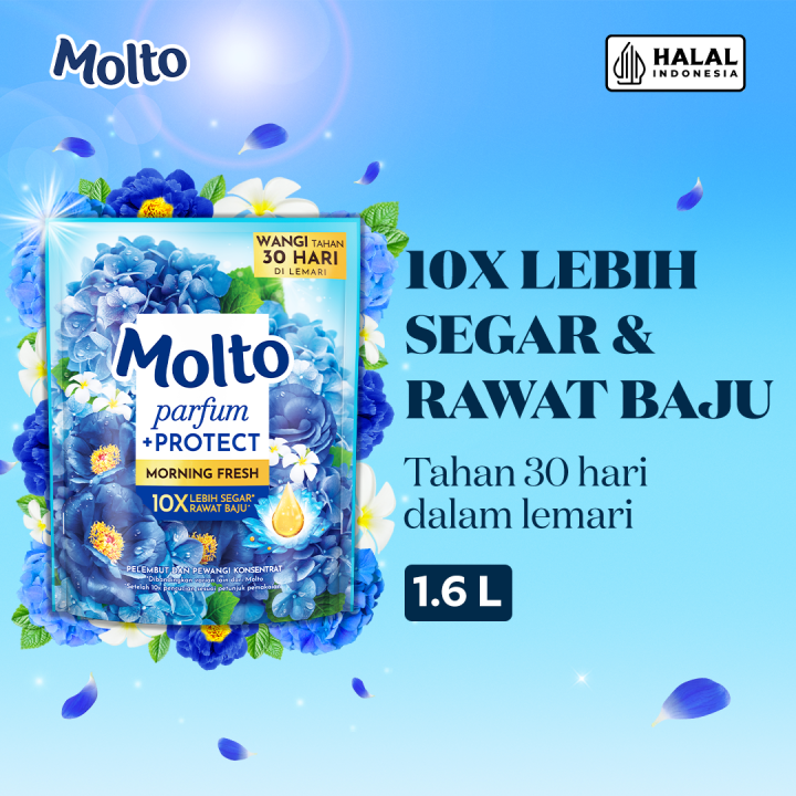 Molto Pelembut & Pewangi Pakaian Softener Konsentrat Parfum +Protect Morning Fresh 1.6 L