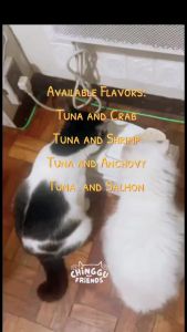 Feline Gourmet Canned 80g Wet Cat Food Can for All Life Stages  EasyPets